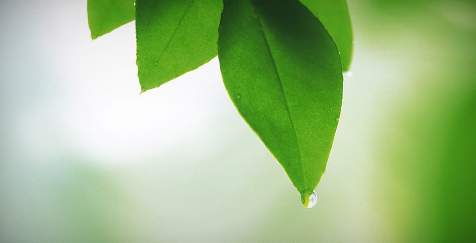 Verantwortung statt Schuld