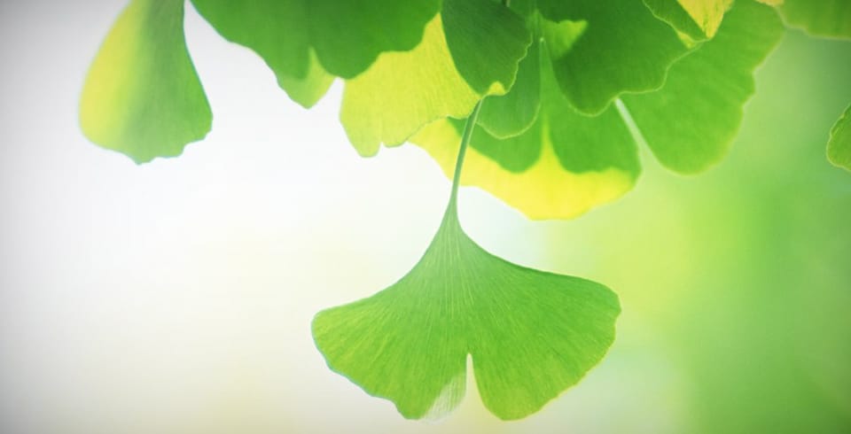 Glück statt Depression