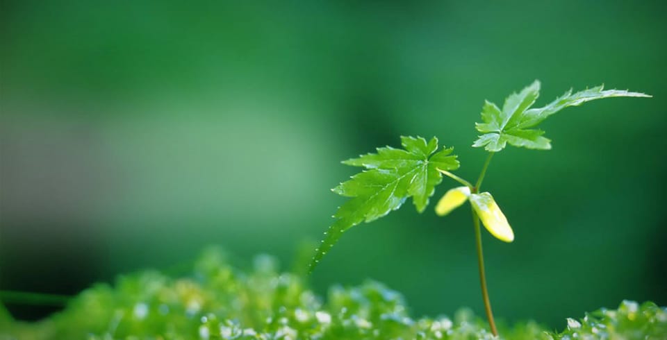 Erfüllung statt Burnout und Druck