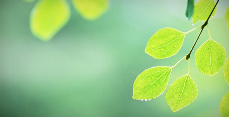 Gelassenheit statt Streß