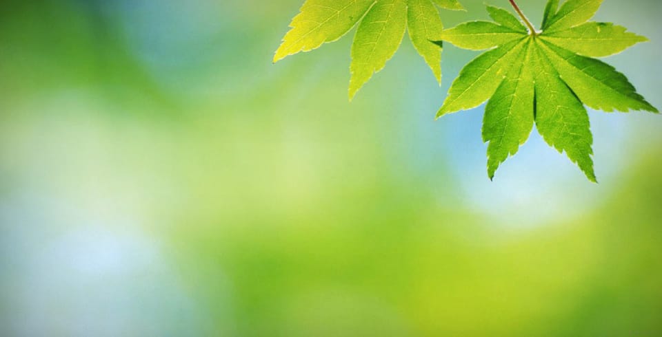 Wohlstand statt Armut