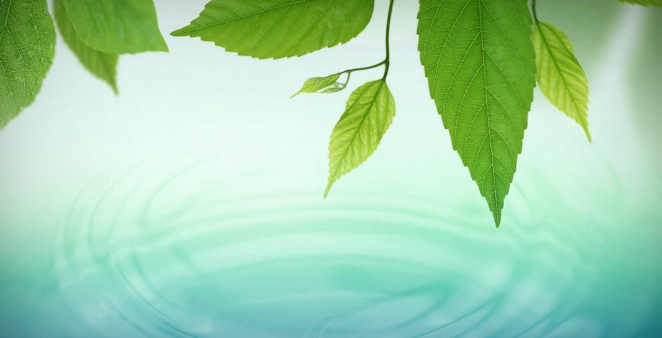 Gesundheit statt Krankheit